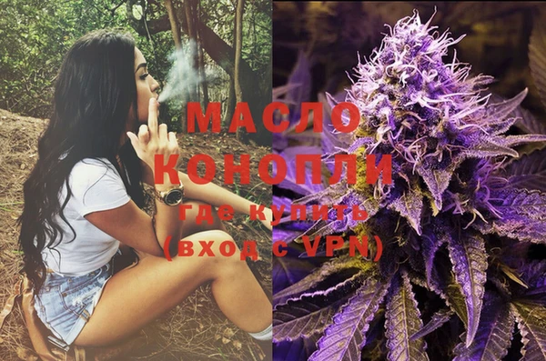 твердый Ельня