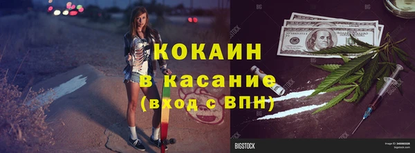 индика Снежногорск