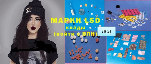 индика Снежногорск