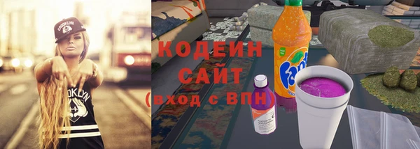 индика Снежногорск