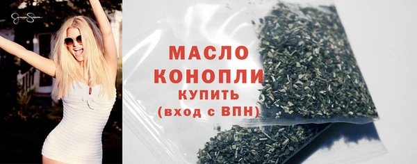 твердый Ельня