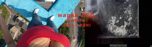 прущие грибы Слюдянка