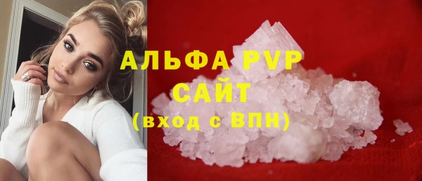 прущие грибы Слюдянка