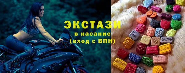 индика Снежногорск