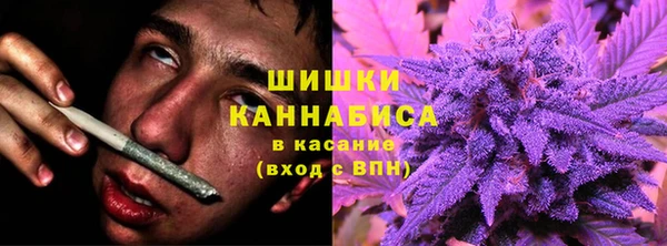 прущие грибы Слюдянка