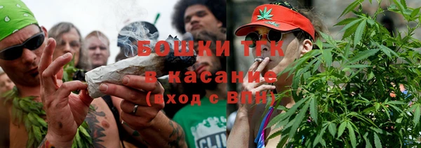 индика Снежногорск
