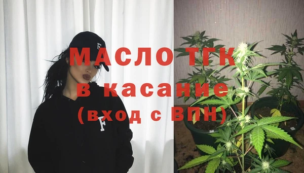 индика Снежногорск