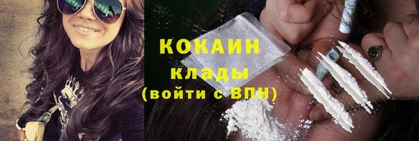 индика Снежногорск