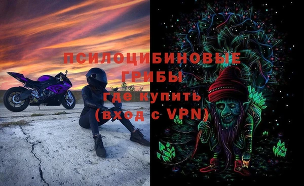 соль ск Дмитровск