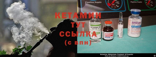 индика Снежногорск